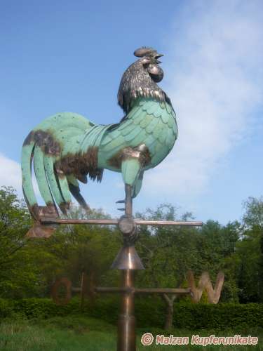 Groer Wetterhahn mit Patinafedern